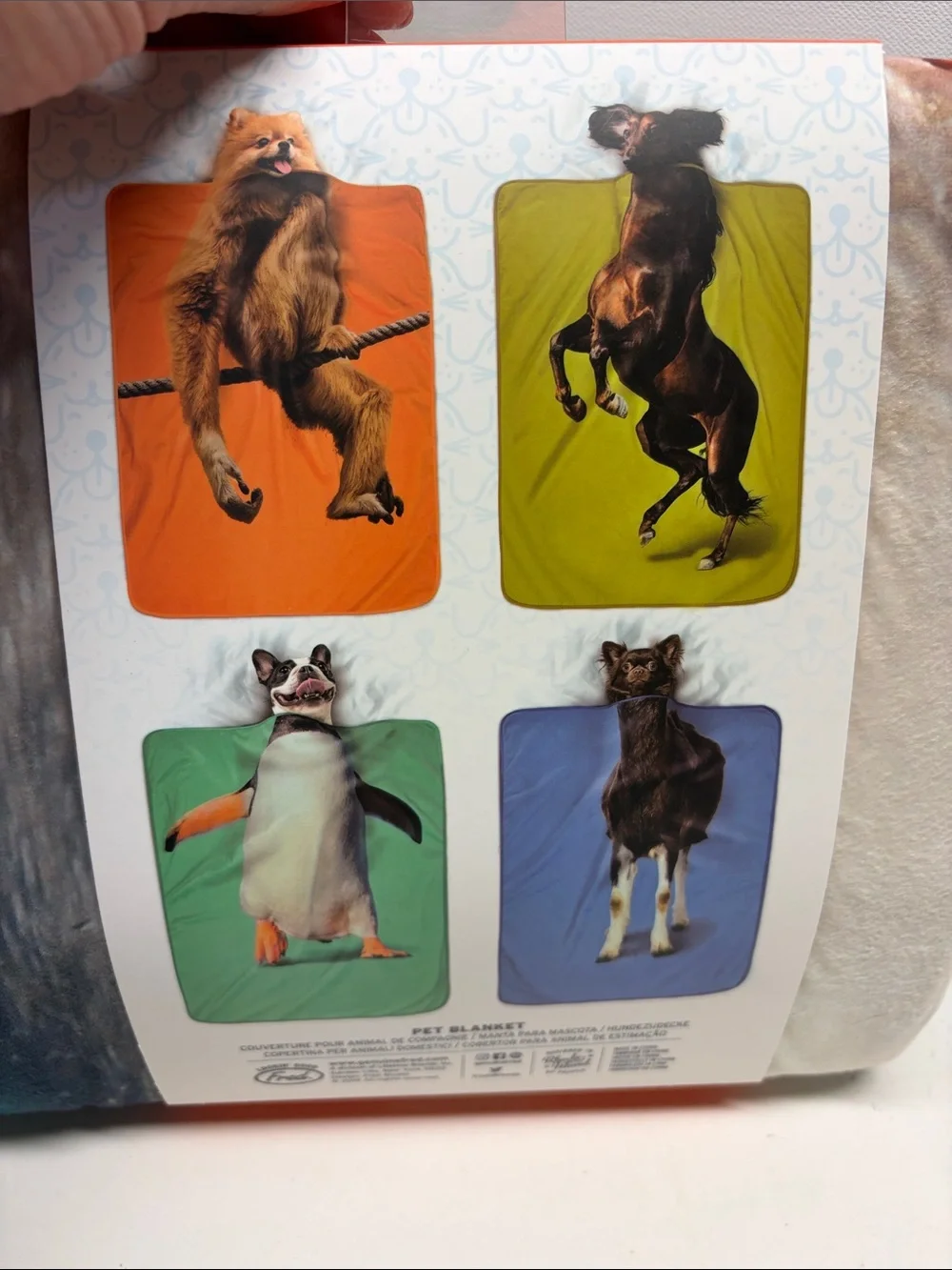 Exotic Pets Teal & Orange Penguin Pet Blanket